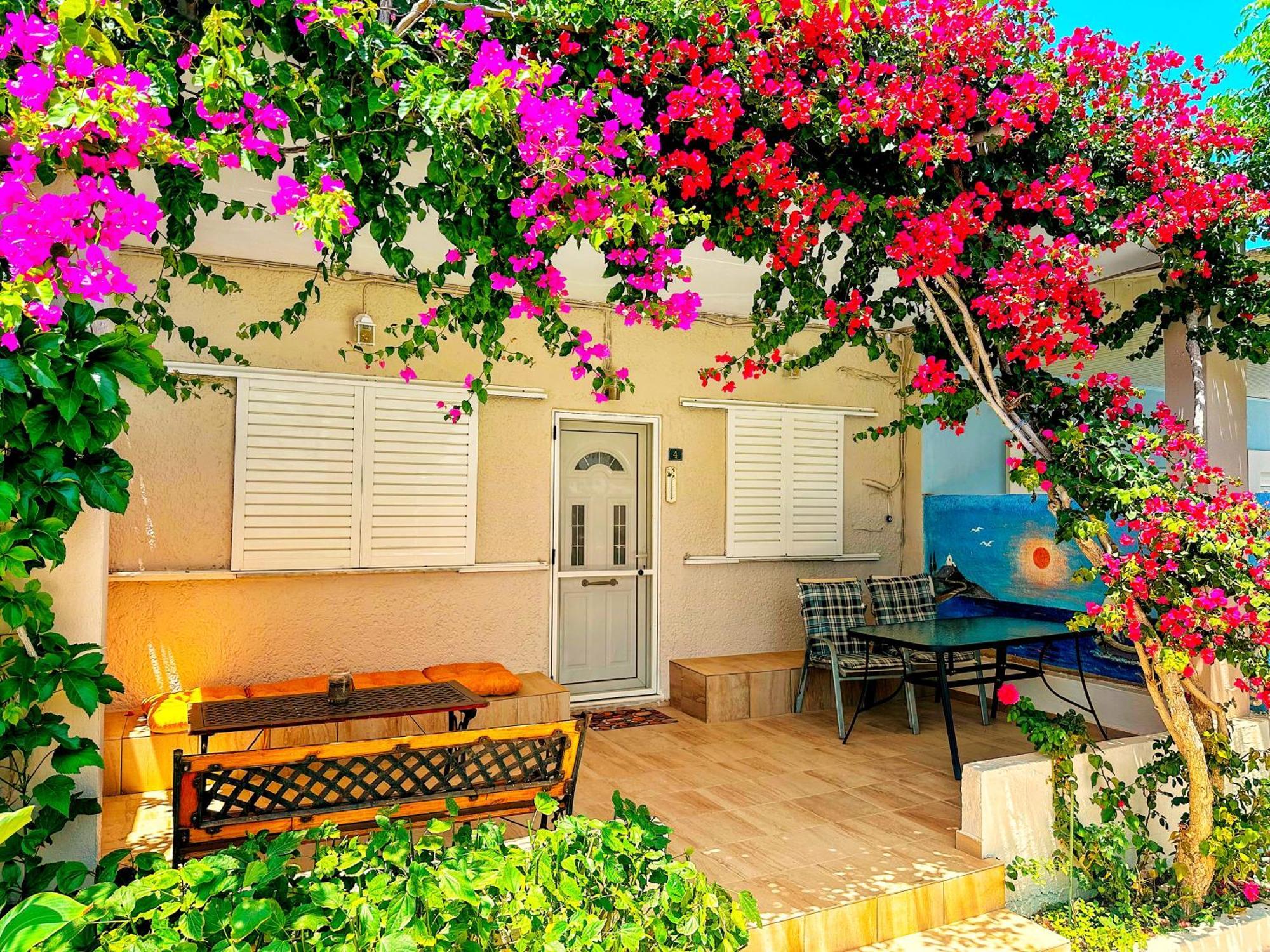 ארכאנגלוס Salora Studio-Apartments מראה חיצוני תמונה